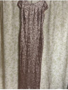 Dress the Population Sequin Dress